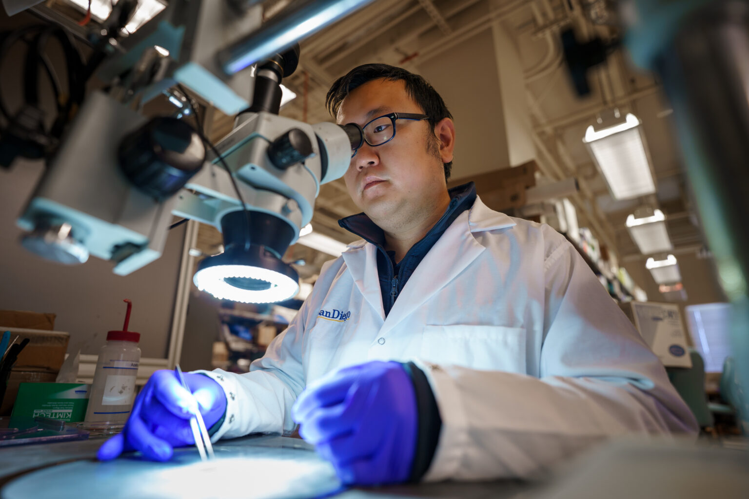 Advancements in Heart Specialist Treatments for Common Conditions