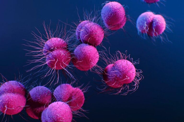 Recommendations From Gastroenterologists for Gut Health