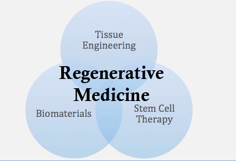 What To Expect During a Regenerative Medicine Treatment