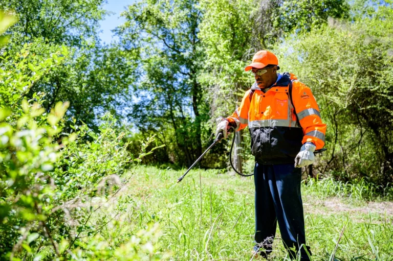 Summer Allergy Survival Tips for Active Individuals